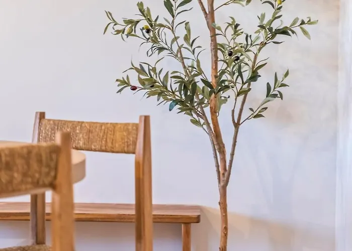 Charming 1br Great Location Funchal (Madeira)